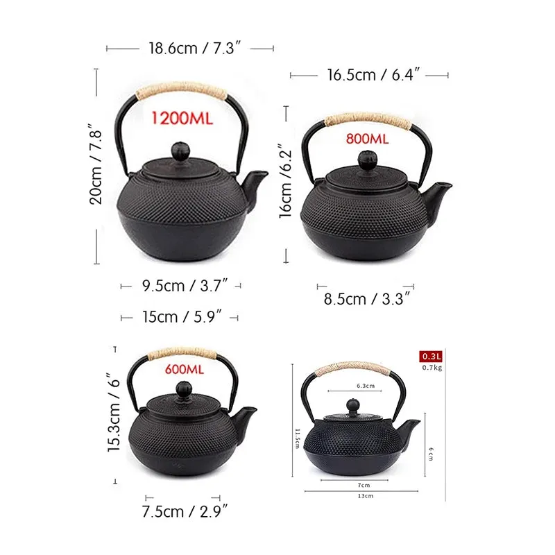 Black Japanese Cast Iron Teapot