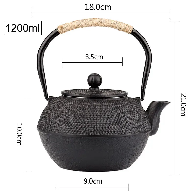 Black Japanese Cast Iron Teapot