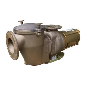 Pentair 10HP C Series Commercial Bronze High Head Pump CHK-100, 3-Phase, 200-208V, Model 347945 - Powerful and Durable Industrial Water Pump